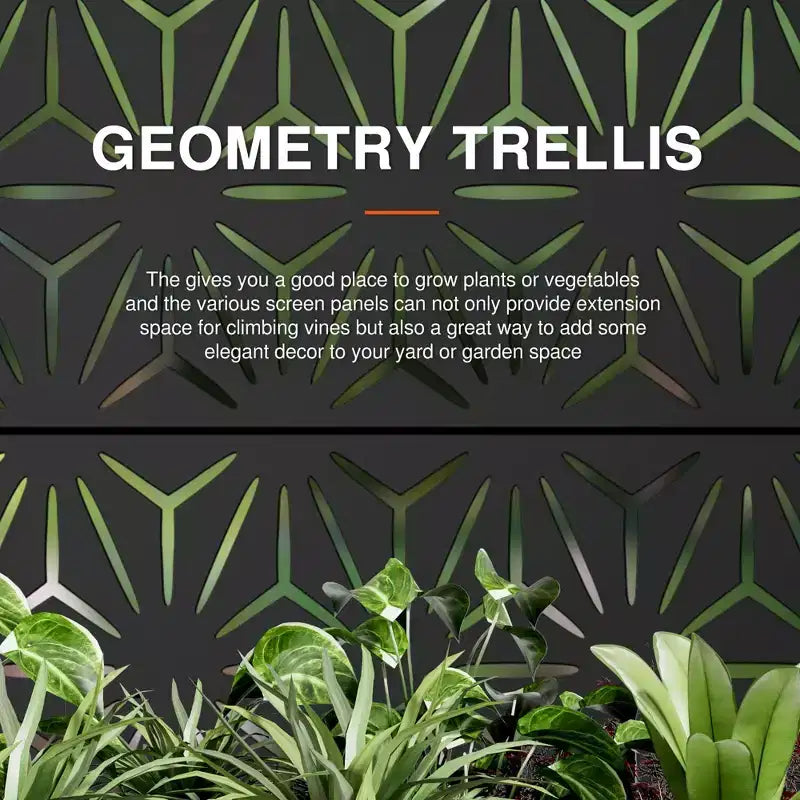 Jardinière arquée en fer forgé noir avec treillis (forme étoile)