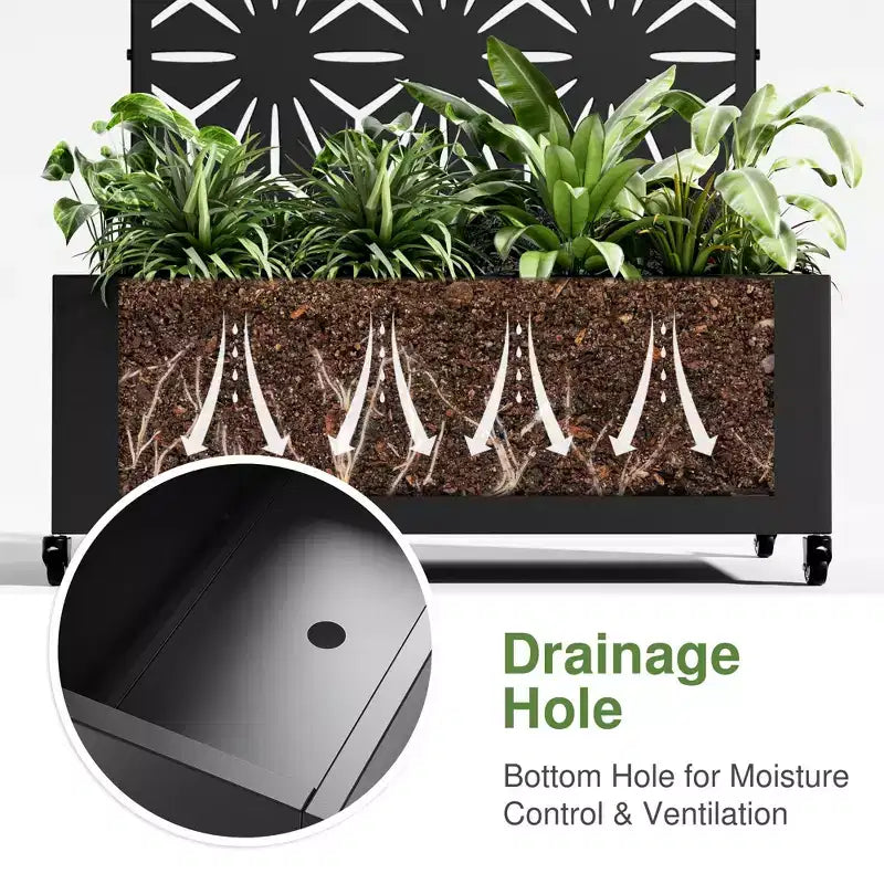 Jardinière arquée en fer forgé noir avec treillis (forme étoile)