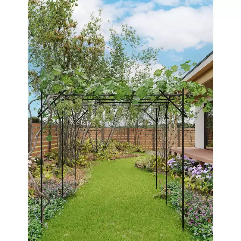 Tonnelle de jardin, Tuteur en métal pour plantes grimpantes d'extérieur, Grande arche de jardin pour plantes grimpantes, concombres, tomates, vignes