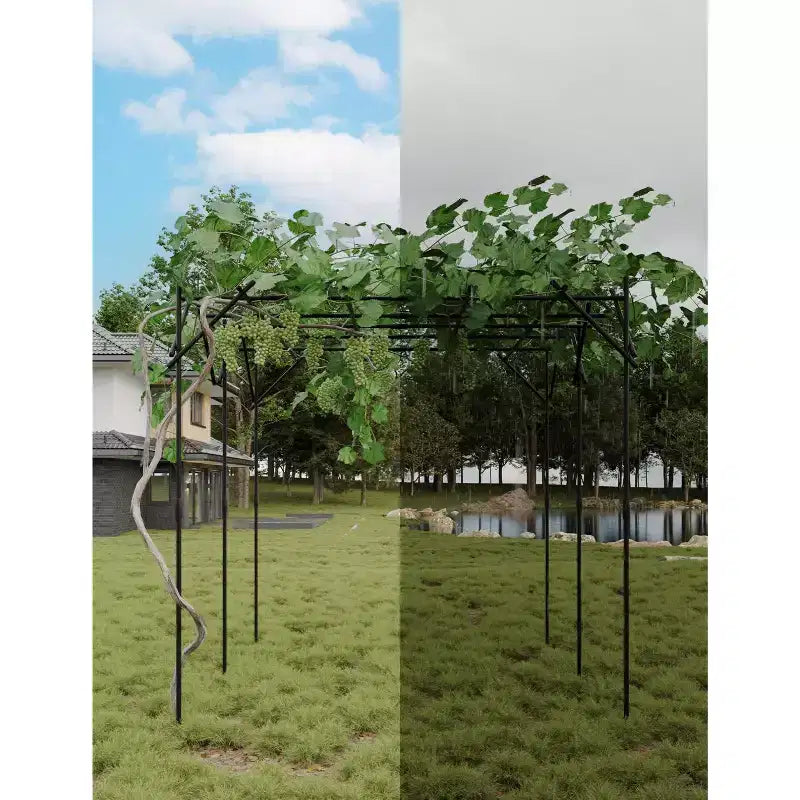 Tonnelle de jardin, Tuteur en métal pour plantes grimpantes d'extérieur, Grande arche de jardin pour plantes grimpantes, concombres, tomates, vignes