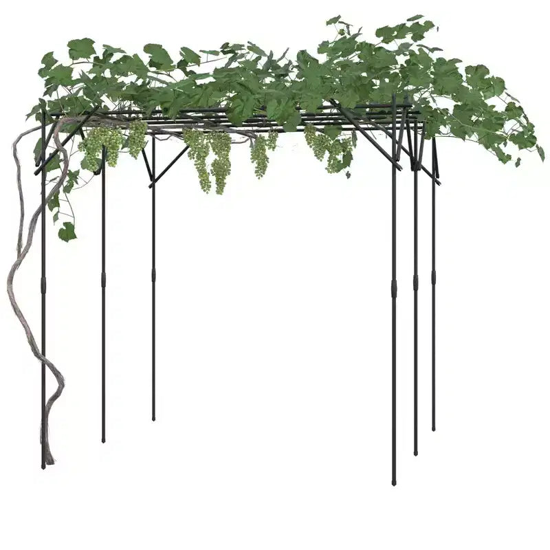Tonnelle de jardin, Tuteur en métal pour plantes grimpantes d'extérieur, Grande arche de jardin pour plantes grimpantes, concombres, tomates, vignes