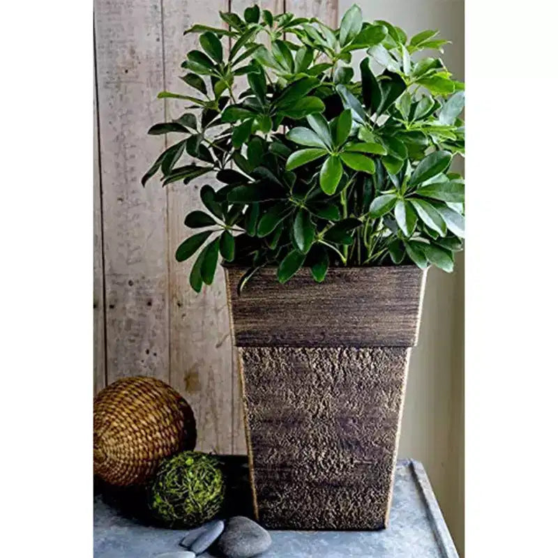 Jardinière carrée en résine de 40 cm
